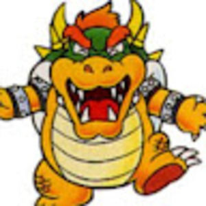 Meet your Posher, Bingodingo